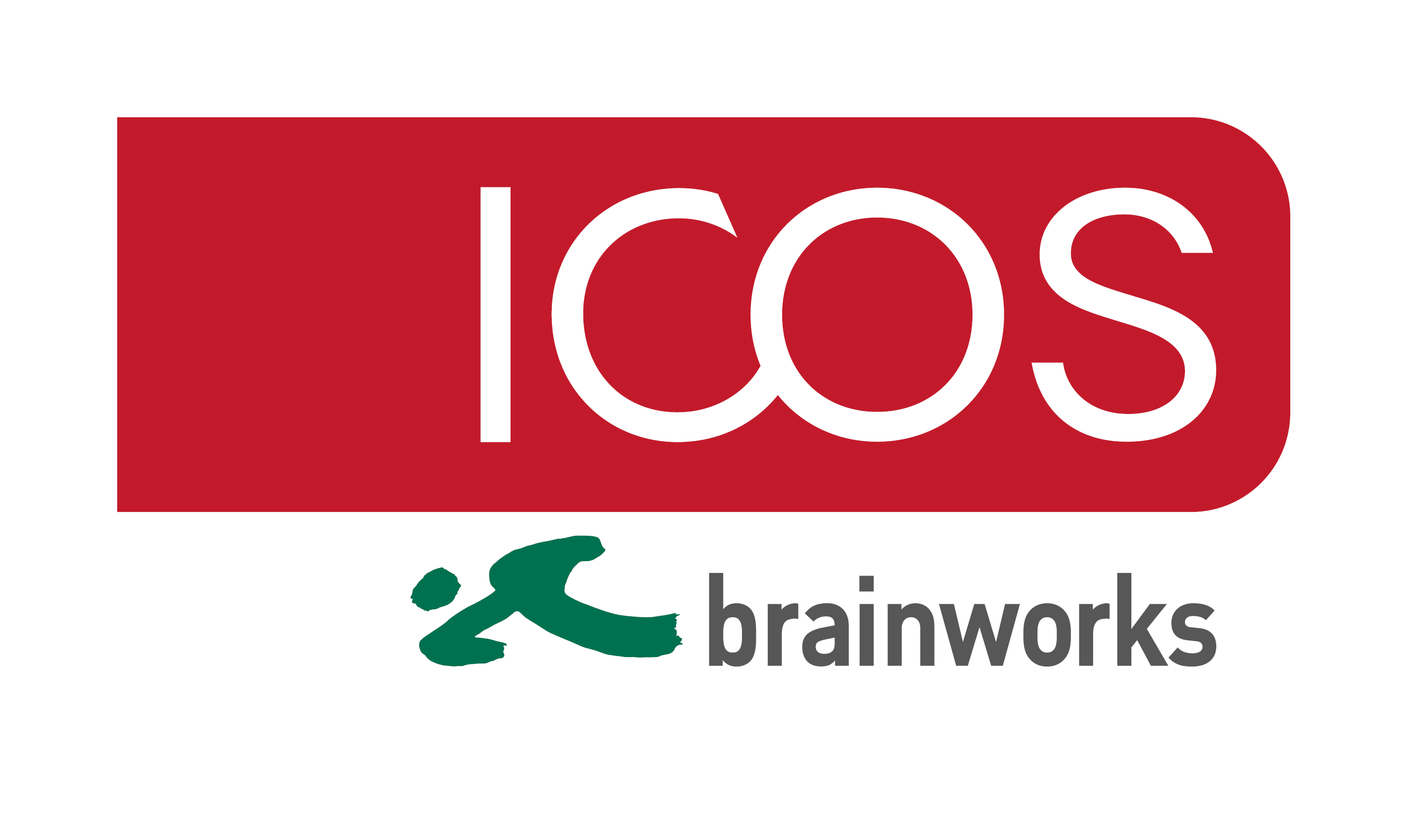 brainworks logo